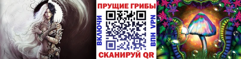 Псилоцибиновые грибы прущие грибы маркетплейс клад Светлоград